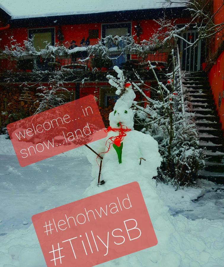 Tilly'S B&B And Apartment House Le Hohwald Esterno foto