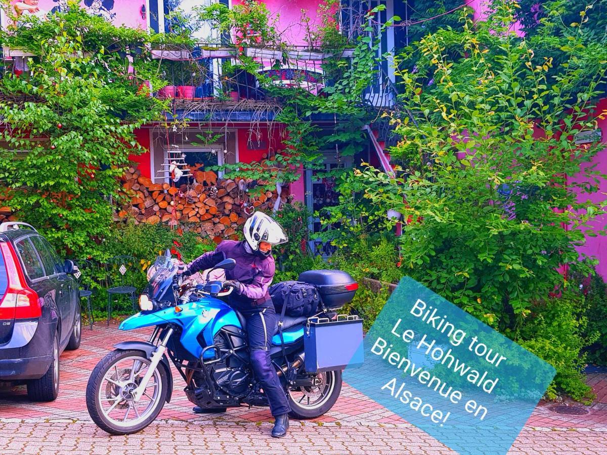 Tilly'S B&B And Apartment House Le Hohwald Esterno foto