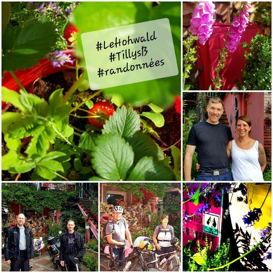 Tilly'S B&B And Apartment House Le Hohwald Esterno foto
