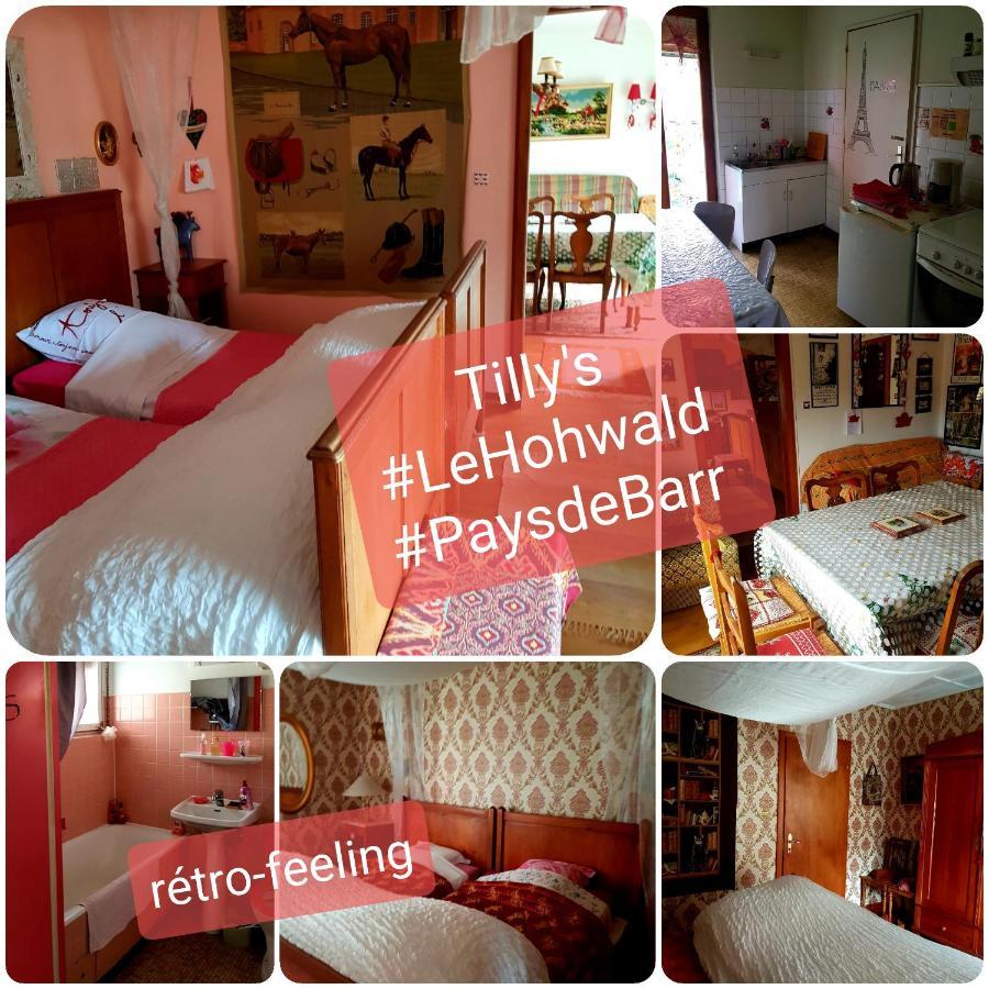 Tilly'S B&B And Apartment House Le Hohwald Esterno foto