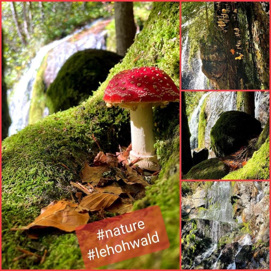 Tilly'S B&B And Apartment House Le Hohwald Esterno foto