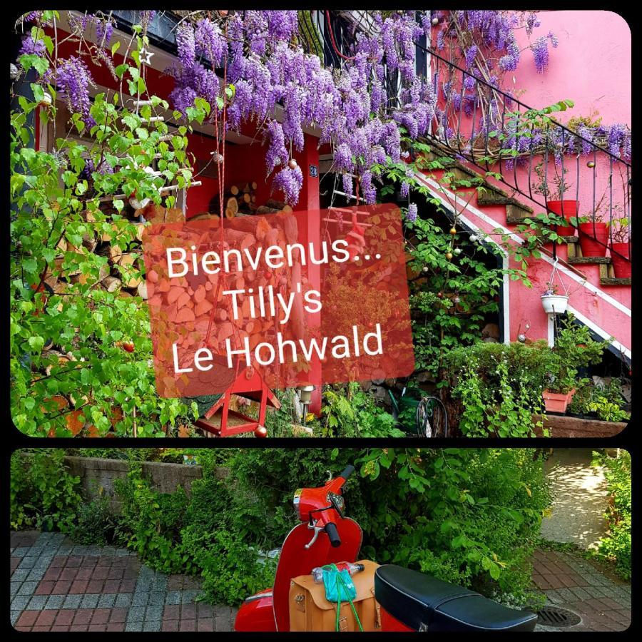 Tilly'S B&B And Apartment House Le Hohwald Esterno foto