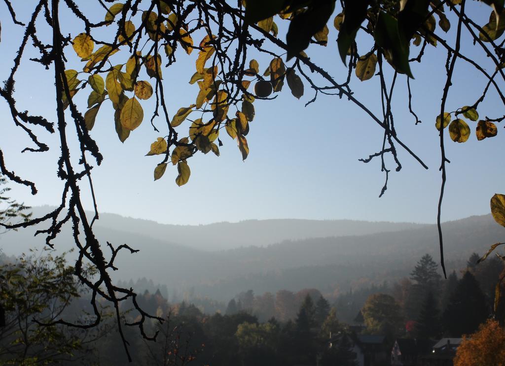 Tilly'S B&B And Apartment House Le Hohwald Esterno foto