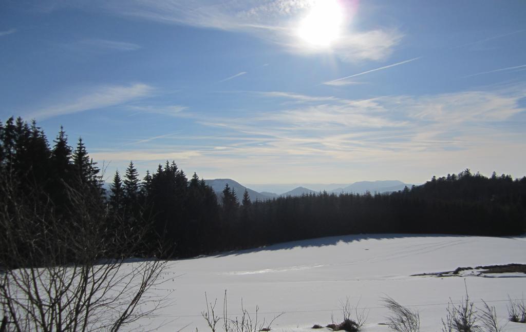 Tilly'S B&B And Apartment House Le Hohwald Esterno foto