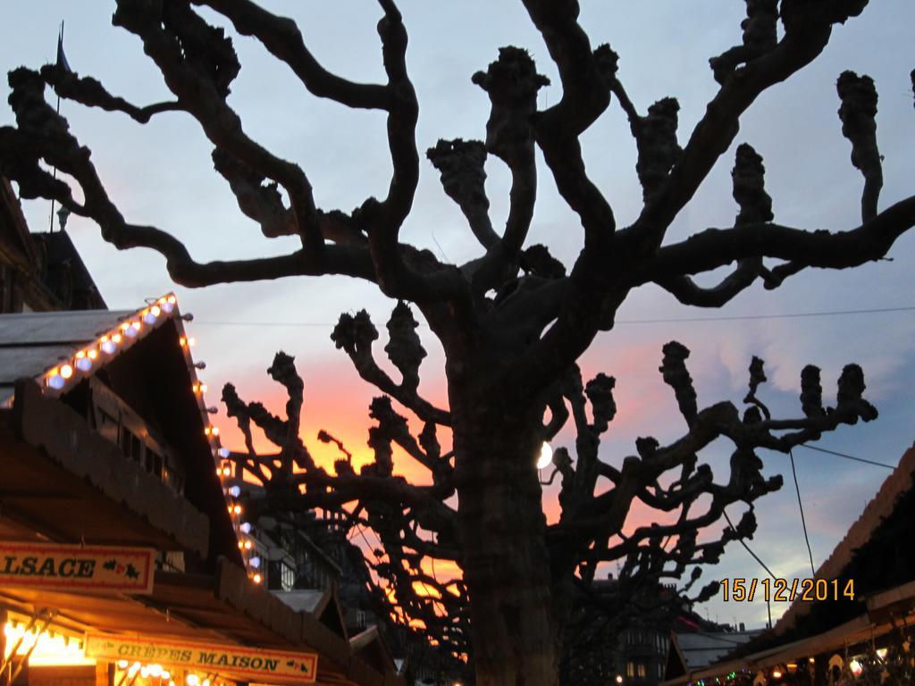Tilly'S B&B And Apartment House Le Hohwald Esterno foto