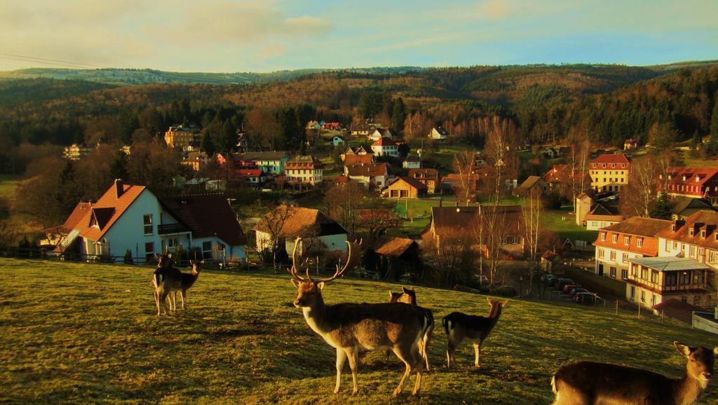 Tilly'S B&B And Apartment House Le Hohwald Esterno foto