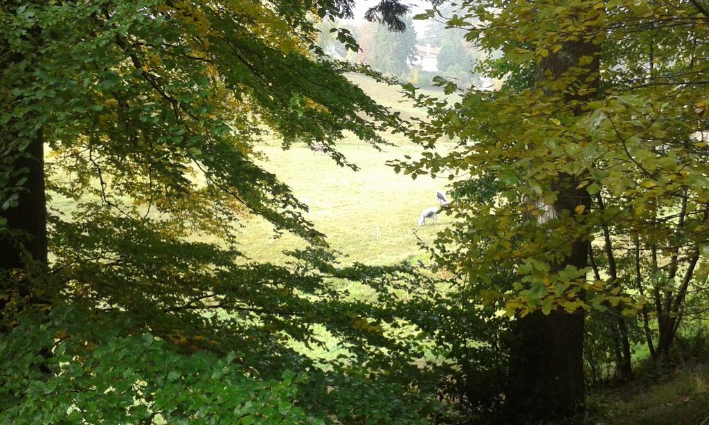 Tilly'S B&B And Apartment House Le Hohwald Esterno foto