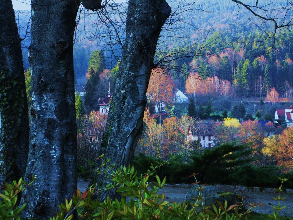 Tilly'S B&B And Apartment House Le Hohwald Esterno foto