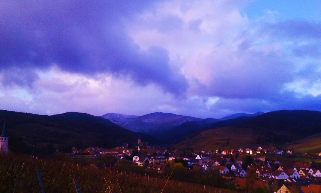 Tilly'S B&B And Apartment House Le Hohwald Esterno foto