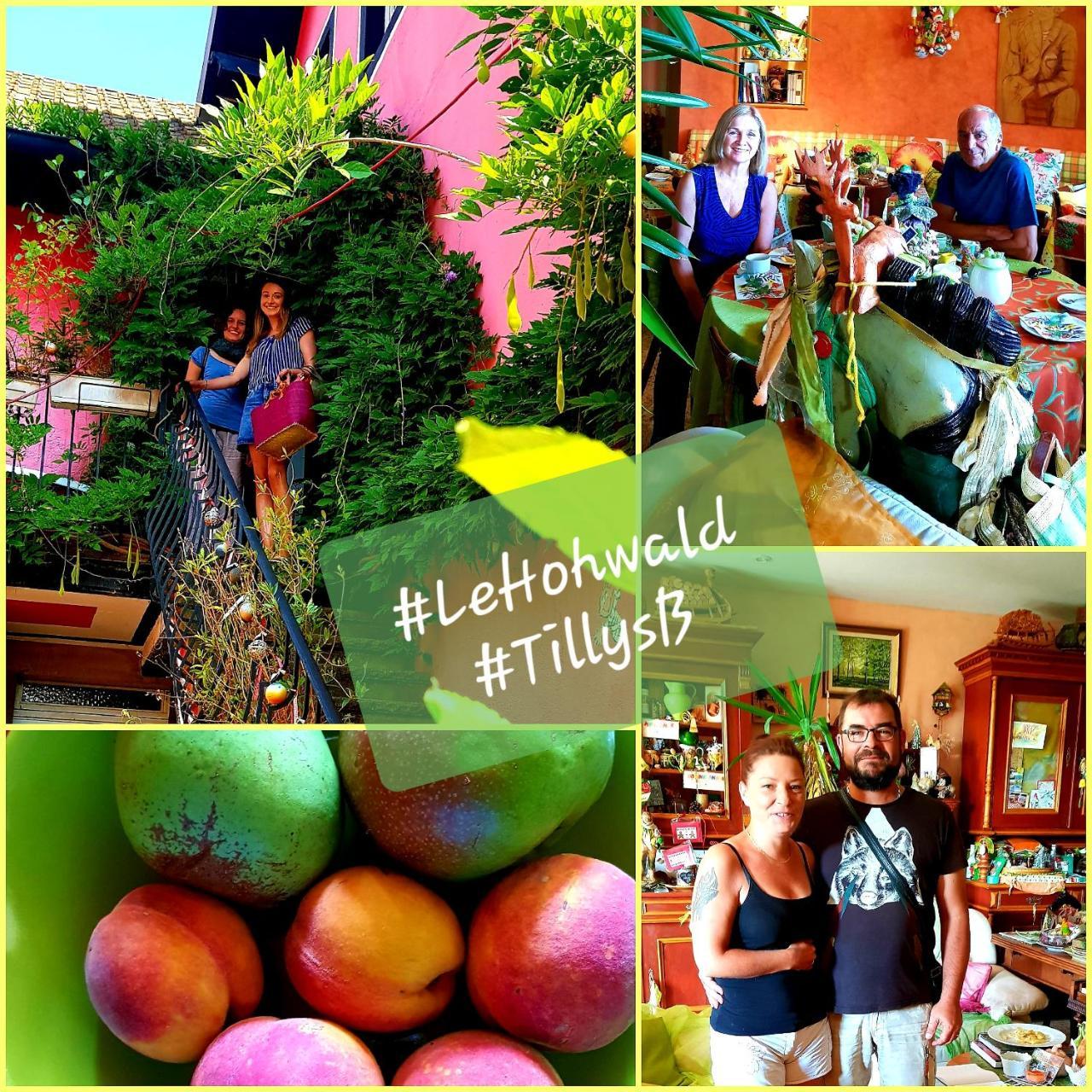 Tilly'S B&B And Apartment House Le Hohwald Esterno foto