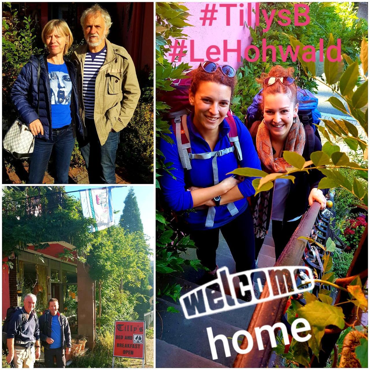 Tilly'S B&B And Apartment House Le Hohwald Esterno foto