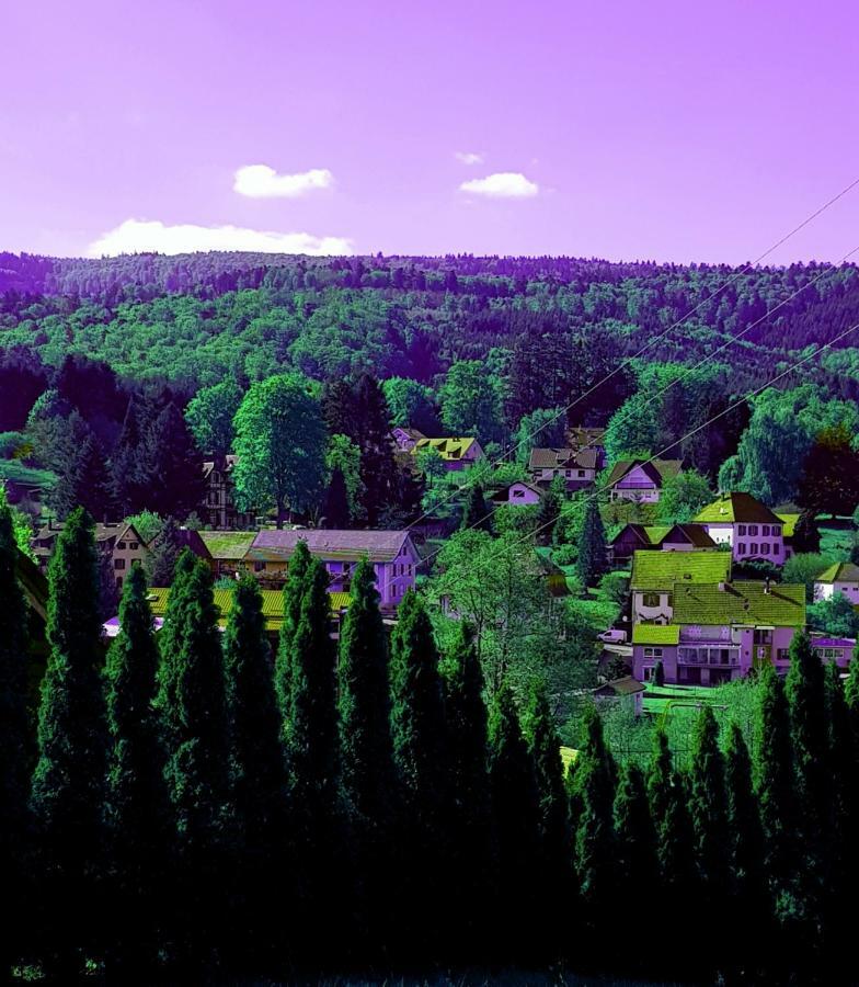 Tilly'S B&B And Apartment House Le Hohwald Esterno foto